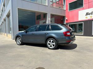 Skoda Scout 2.0 TDI 110kW (150CV) DSG 4x4 Scout  - Foto 5