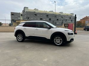 Citroën C4 Cactus BlueHDi 73KW (100CV) Shine  - Foto 4