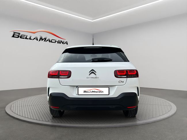 Citroën C4 Cactus BlueHDi 73KW (100CV) Shine