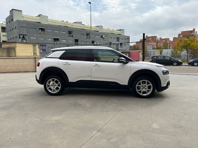 Citroën C4 Cactus BlueHDi 73KW (100CV) Shine