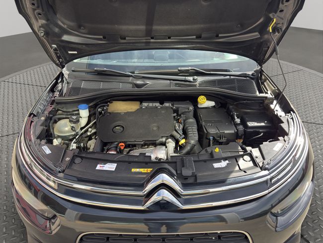 Citroën C4 Cactus BlueHDi 73KW (100CV) Shine