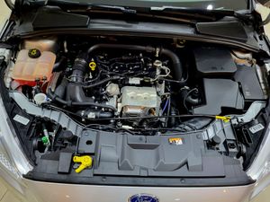 Ford Focus 1.0 125cv ecoboost Trend+   - Foto 18