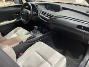 Lexus UX 2.0 250h Business  - Foto 9