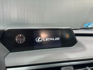 Lexus UX 2.0 250h Business  - Foto 28