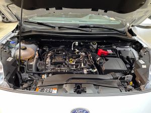 Ford Kuga ST-Line X 1.5T EcoBoost 110kW (150CV)  - Foto 16