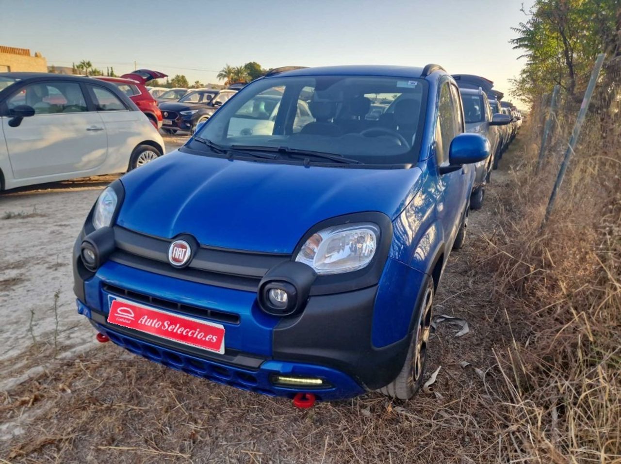 Fiat Panda Cross 1.0 Hybrid 51kw (70CV)  - Foto 1