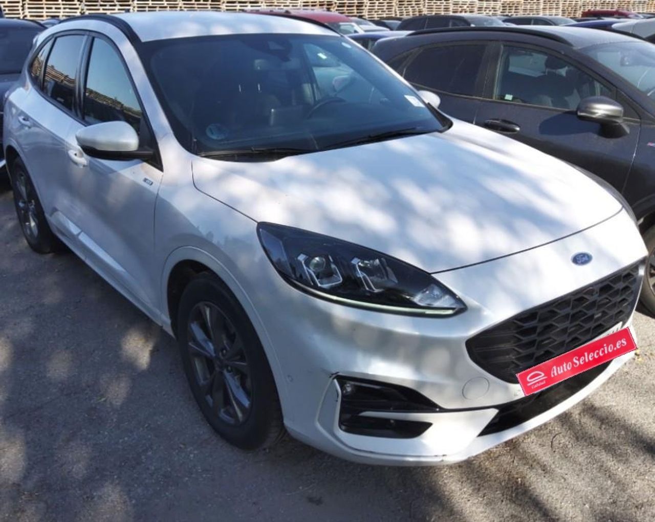 Ford Kuga ST-Line 2.5 Duratec FHEV 140kW Auto  - Foto 1
