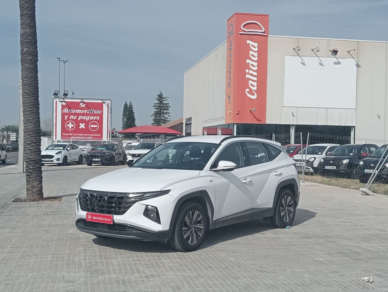 Hyundai Tucson 1.6 TGDI 110kW (150CV) 48V Maxx  - Foto 1