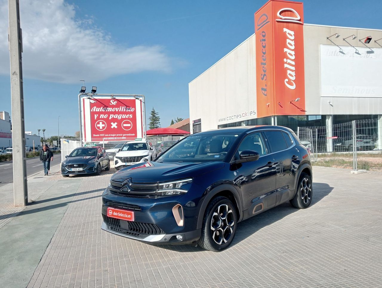 Citroën C5 Aircross BlueHDi 130 EAT8 C Series  - Foto 1