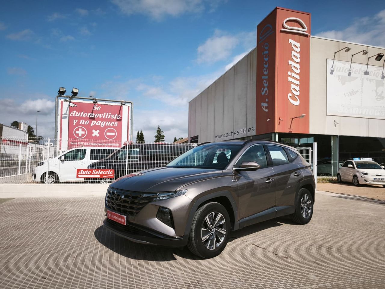 Hyundai Tucson 1.6 CRDI 100kW (136CV) 48V Maxx  - Foto 1