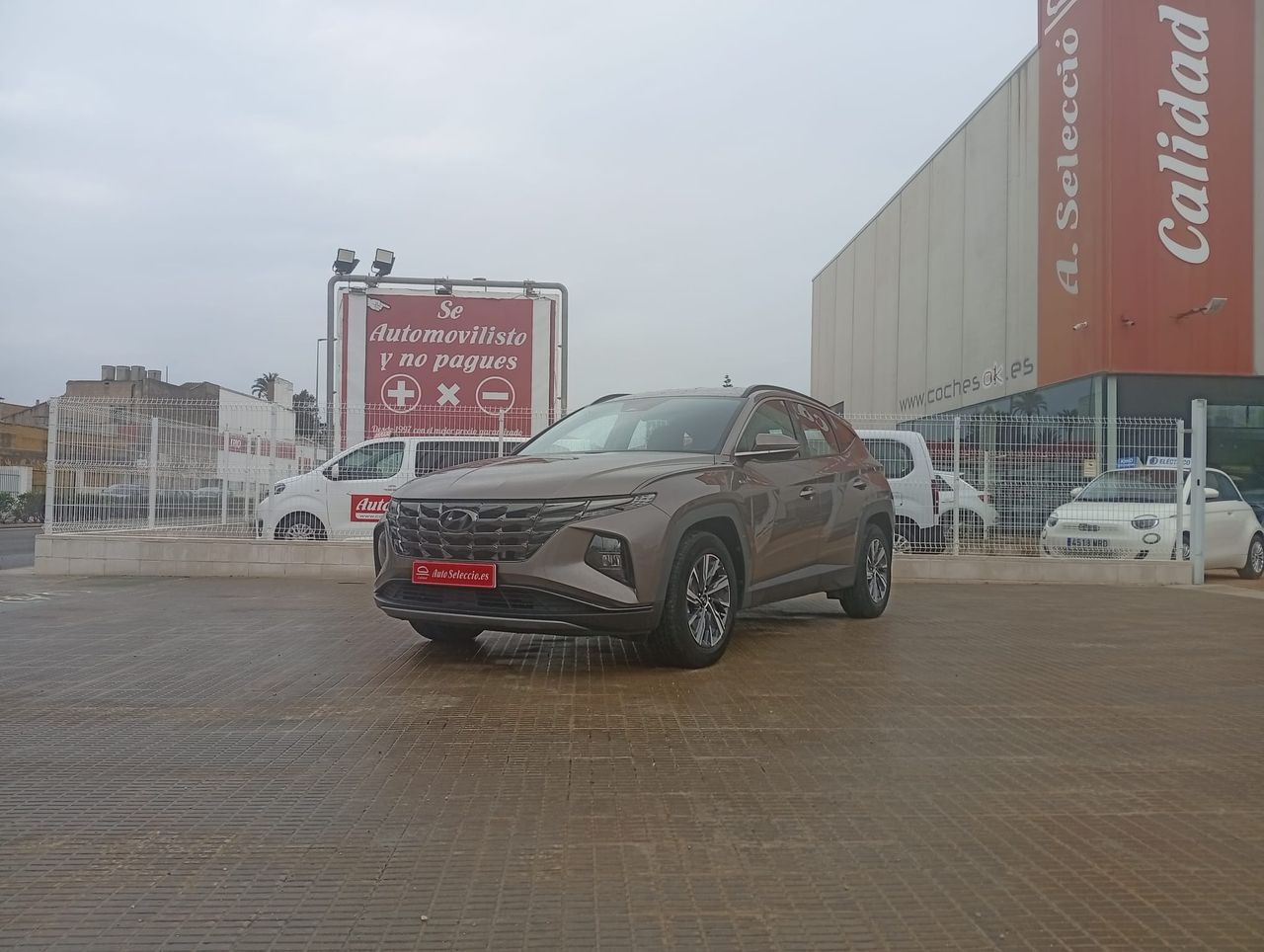 Hyundai Tucson 1.6 CRDI 100kW (136CV) 48V Maxx  - Foto 1