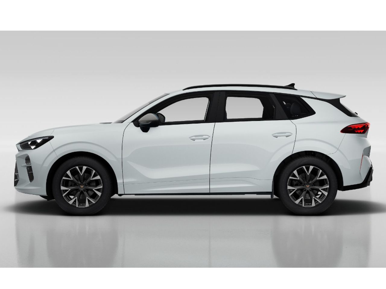 Cupra Terramar 1.5 TSI e-Hybrid 150kW (204 CV) DSG Beyo  - Foto 1