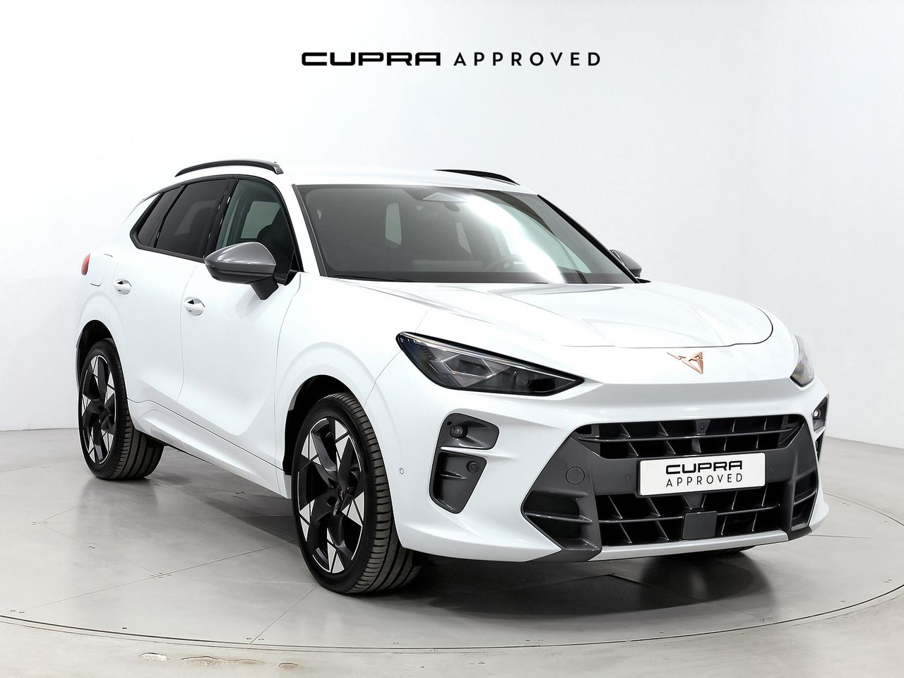 Cupra Terramar 1.5 eTSI 110kW (150 CV) DSG  - Foto 1