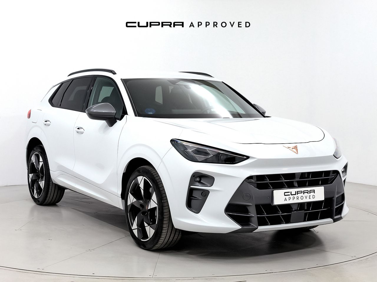 Cupra Terramar 1.5 TSI e-Hybrid 150kW (204 CV) DSG  - Foto 1