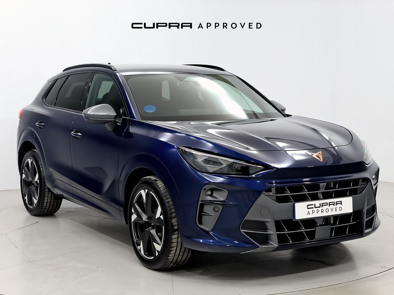 Cupra Terramar 1.5 TSI e-Hybrid 200kW (272 CV) VZ DSG  - Foto 1