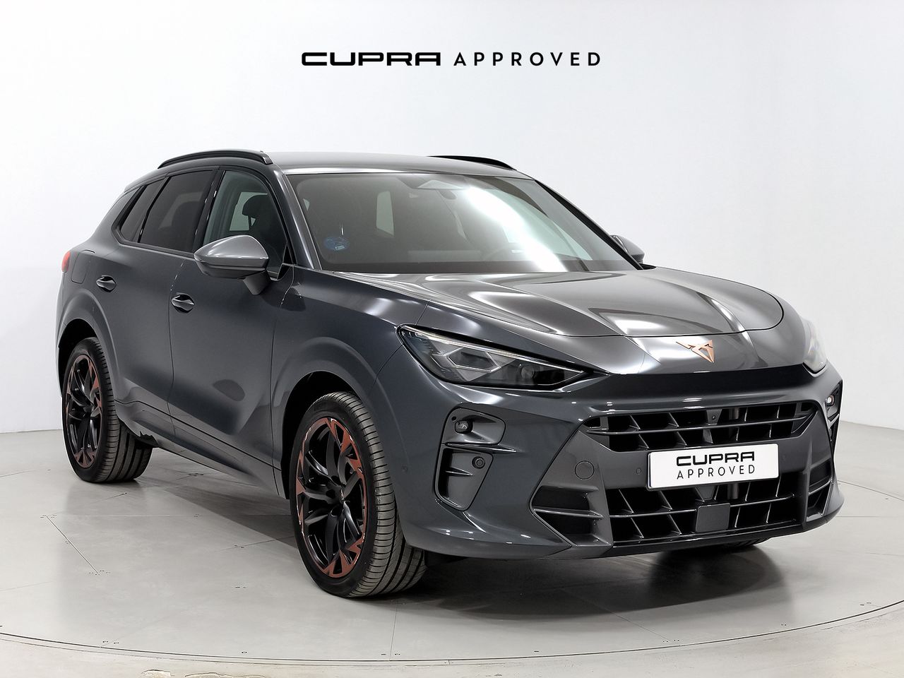 Cupra Terramar 1.5 TSI e-Hybrid 150kW (204 CV) DSG  - Foto 1