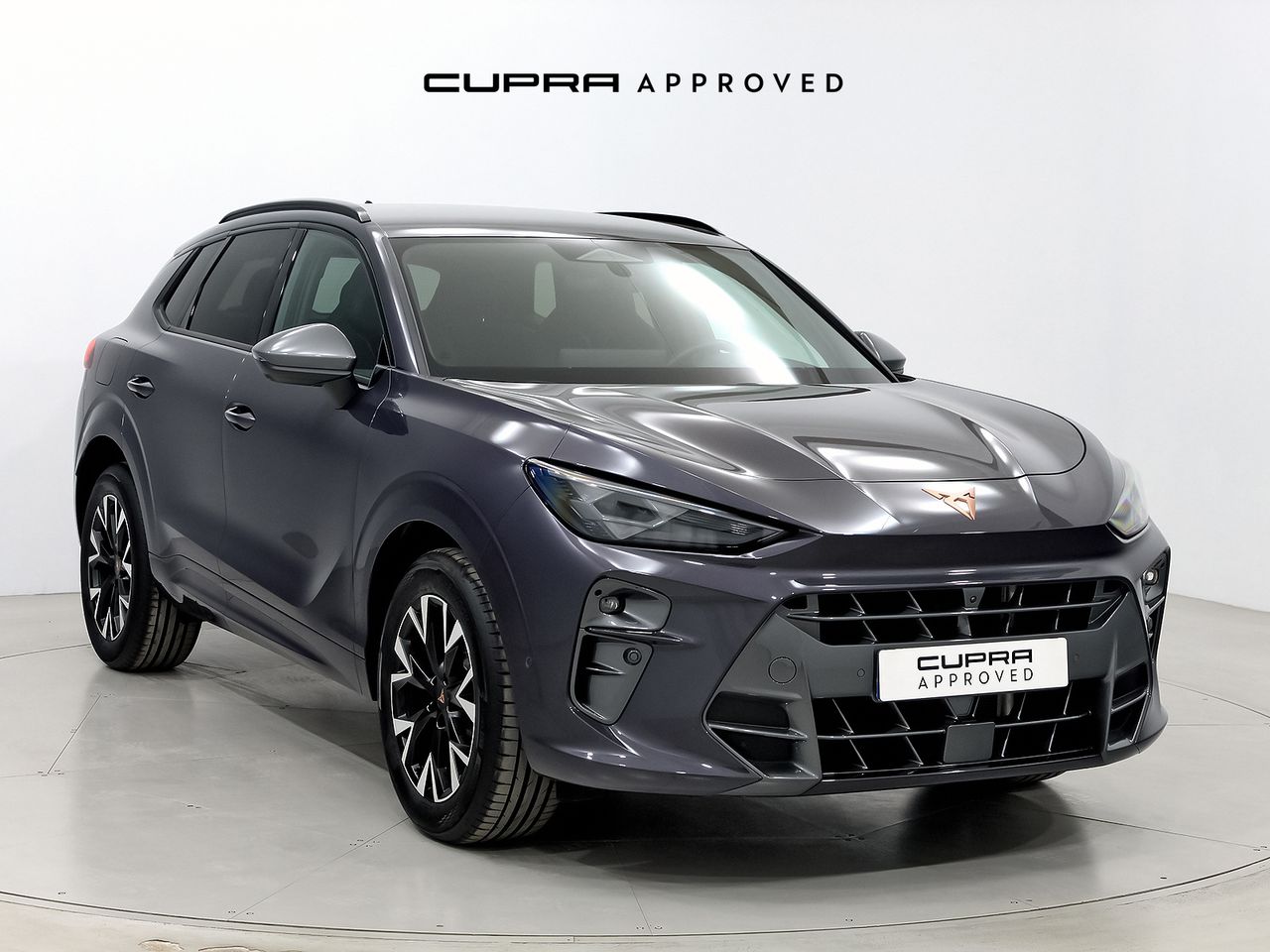 Cupra Terramar 1.5 TSI e-Hybrid 150kW (204 CV) DSG  - Foto 1