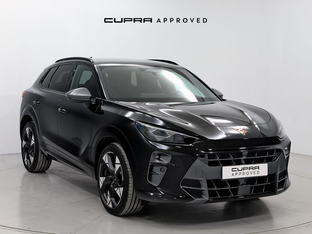 Cupra Terramar 1.5 eTSI 110kW (150 CV) DSG  - Foto 1