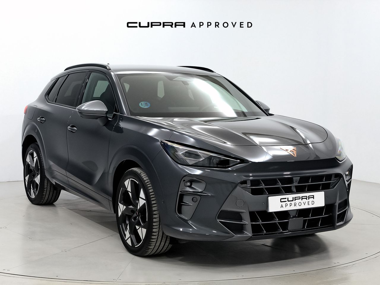Cupra Terramar 1.5 eTSI 110kW (150 CV) DSG  - Foto 1