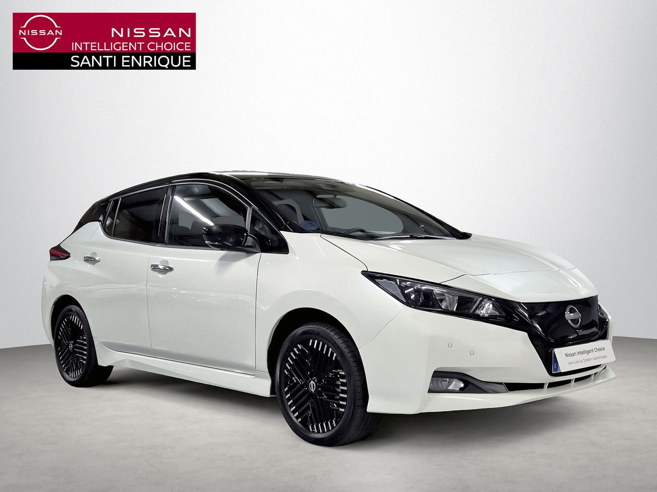 Nissan Leaf 62kWh e+ N-Connecta  - Foto 1