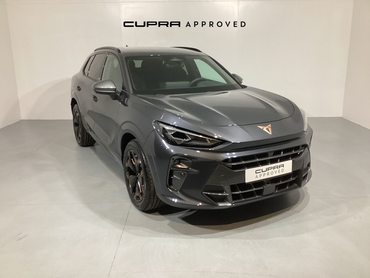 Cupra Terramar 1.5 TSI e-Hybrid 150kW (204 CV) DSG  - Foto 1