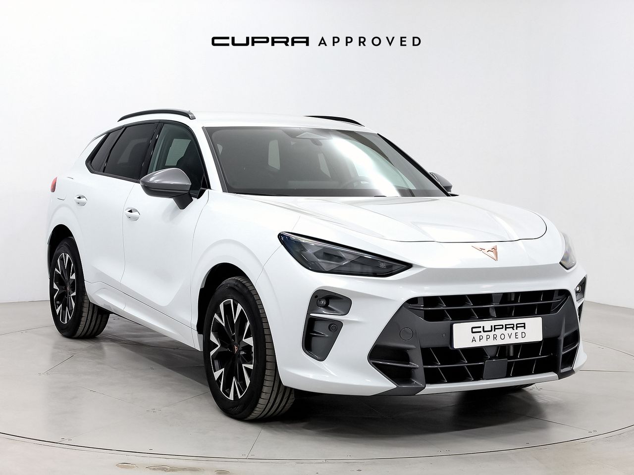 Cupra Terramar 1.5 TSI e-Hybrid 150kW (204 CV) DSG  - Foto 1