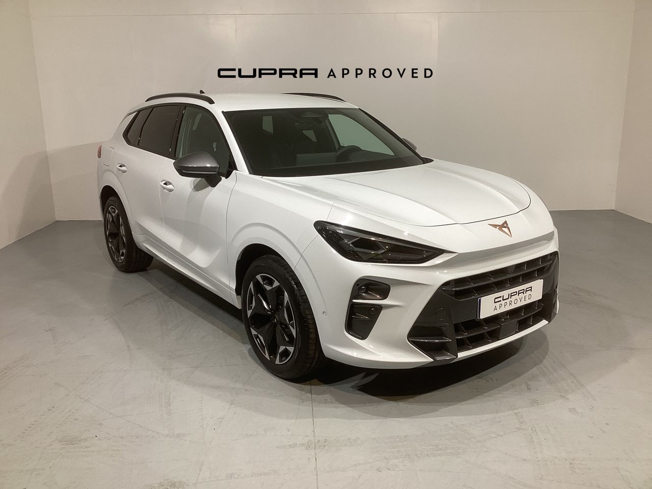 Cupra Terramar 1.5 TSI e-Hybrid 150kW (204 CV) DSG  - Foto 1