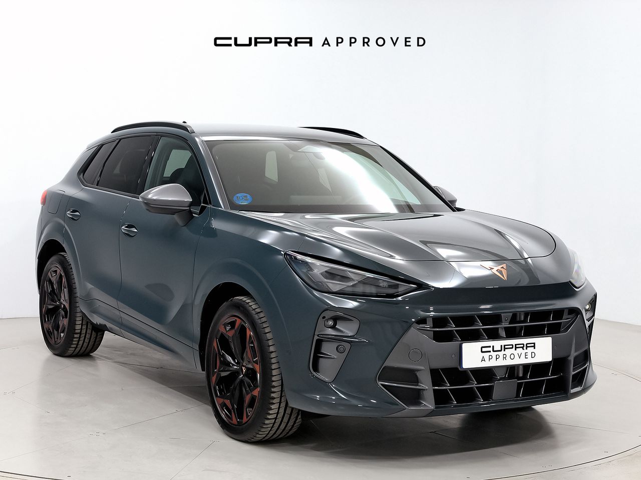 Cupra Terramar 1.5 TSI e-Hybrid 150kW (204 CV) DSG  - Foto 1