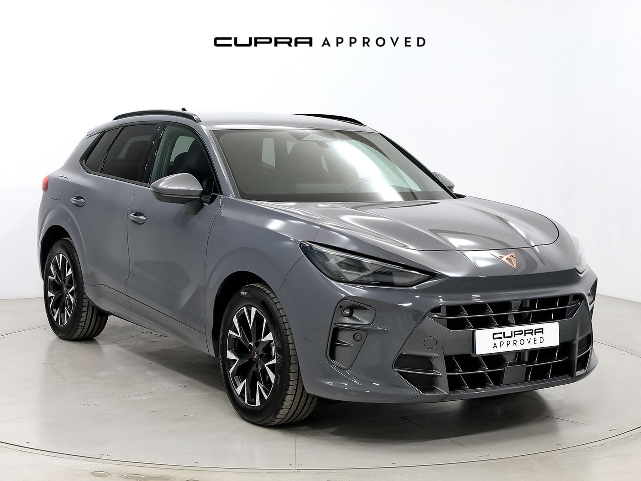 Cupra Terramar 1.5 TSI e-Hybrid 150kW (204 CV) DSG  - Foto 1