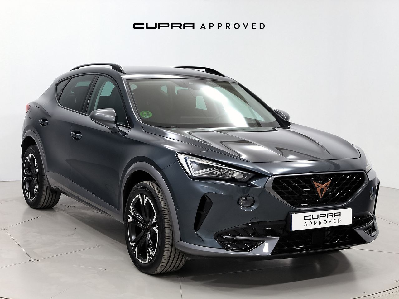 Cupra Formentor 2.0 TDI 110kW (150 CV)  - Foto 1