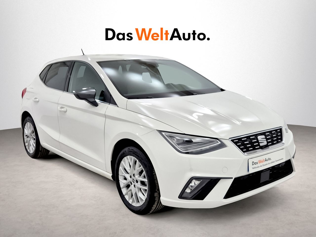 Seat Ibiza 1.0 TSI 85kW Special Edition Xcellence  - Foto 1