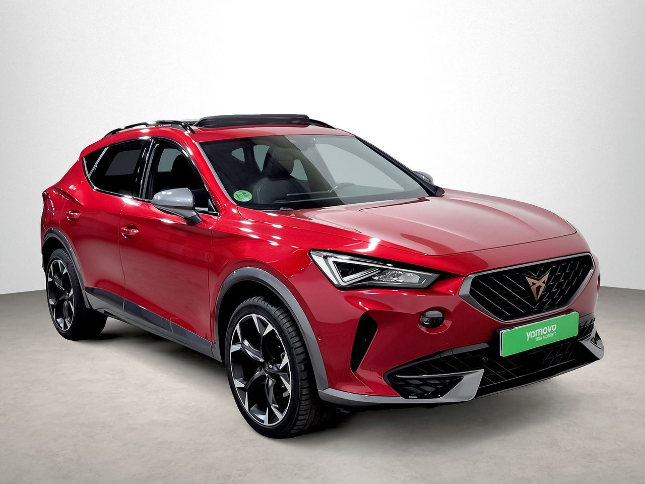 Cupra Formentor 2.0 TDI 110kW (150 CV)  - Foto 1