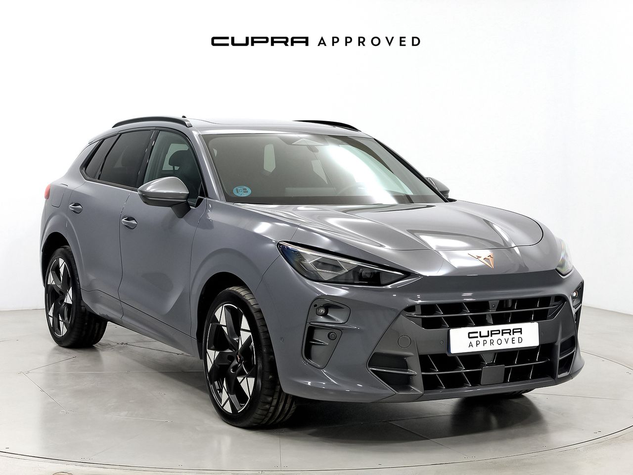 Cupra Terramar 2.0 TSI 195kW (265 CV) VZ DSG 4 Drive  - Foto 1