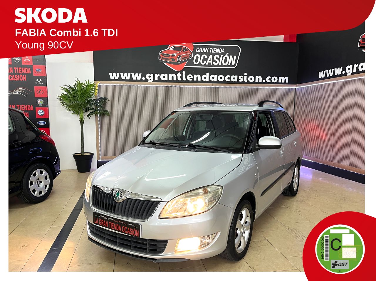 Skoda Fabia Combi 1.6 TDi 90cv Young   - Foto 1