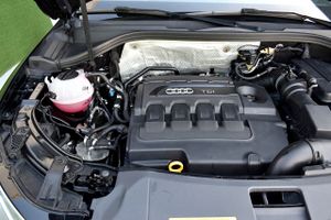 Audi Q3 2.0 TDI 110kW 150CV 5p. S line, Bose  - Foto 14
