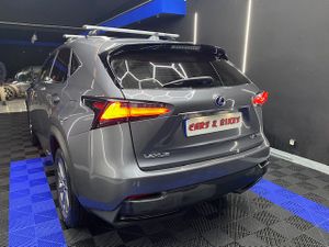 Lexus NX 2.5 300h Corporate 2WD  Navibox - Foto 18