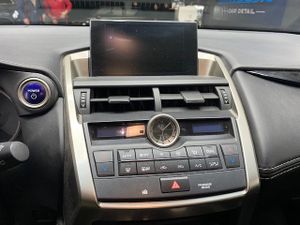 Lexus NX 2.5 300h Corporate 2WD  Navibox - Foto 11