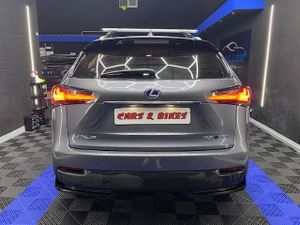 Lexus NX 2.5 300h Corporate 2WD  Navibox - Foto 19