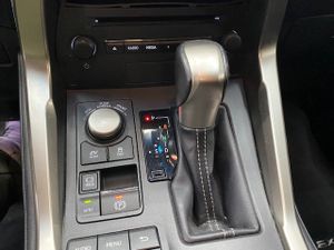 Lexus NX 2.5 300h Corporate 2WD  Navibox - Foto 14