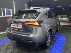 Lexus NX 2.5 300h Corporate 2WD  Navibox - Foto 20