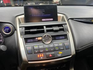 Lexus NX 2.5 300h Corporate 2WD  Navibox - Foto 13