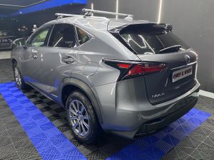Lexus NX 2.5 300h Corporate 2WD  Navibox - Foto 7