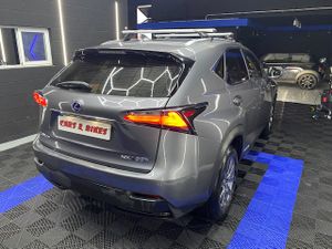 Lexus NX 2.5 300h Corporate 2WD  Navibox - Foto 21