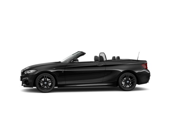 BMW Serie 2 220i cabrio 135 kw (184 cv)   - Foto 6