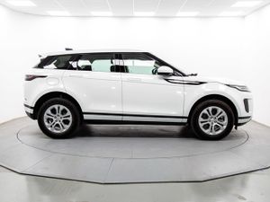 Land-Rover Range Rover Evoque d150 mhev standard 4wd auto 110 kw (150 cv)   - Foto 19