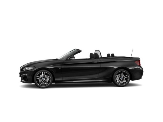 BMW Serie 2 220i cabrio 135 kw (184 cv)   - Foto 6