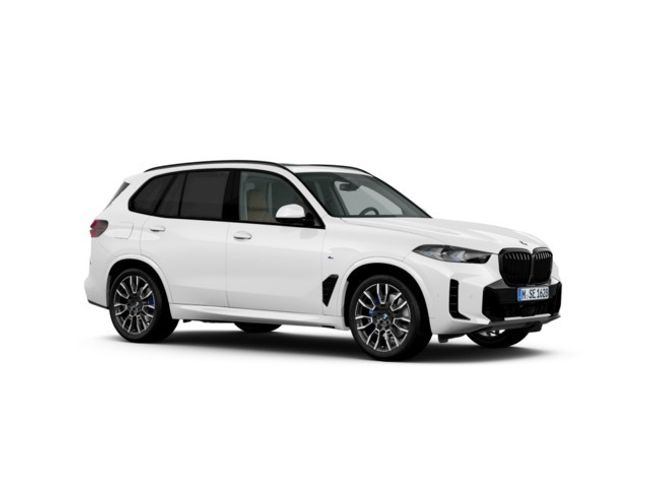 BMW X5 xdrive30d  xline 219 kw (298 cv)   - Foto 5