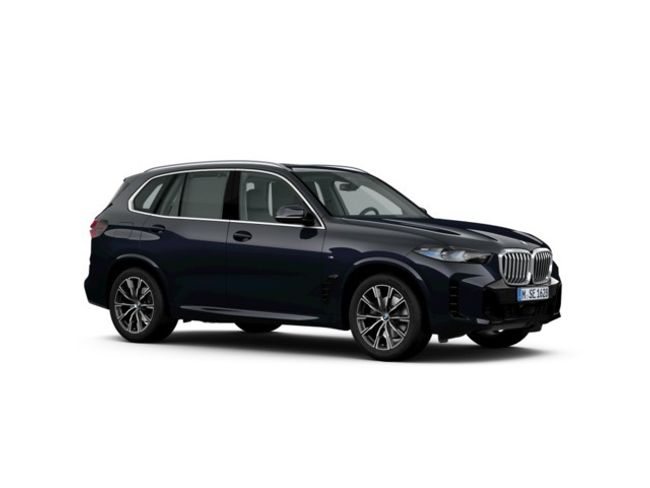 BMW X5 xdrive30d  xline 219 kw (298 cv)   - Foto 5