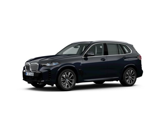 BMW X5 xdrive30d  xline 219 kw (298 cv)   - Foto 3