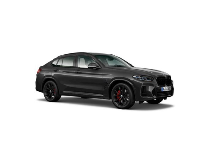 BMW X4 xdrive20i xline 135 kw (184 cv)   - Foto 5